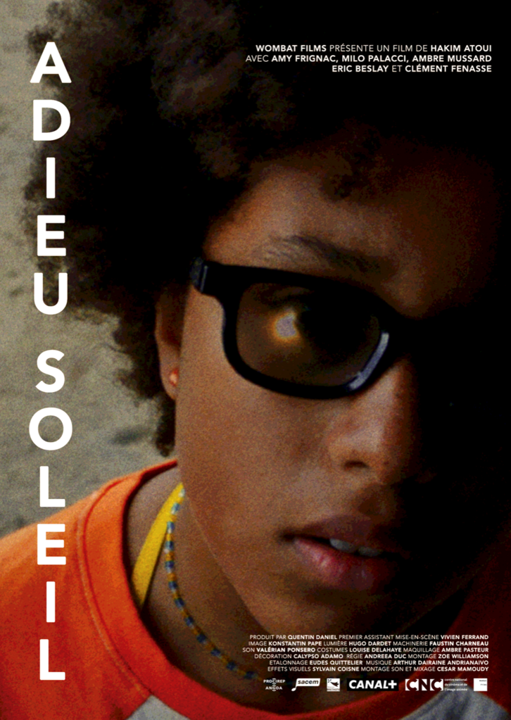 Goodbye Sun Goodbye Sun