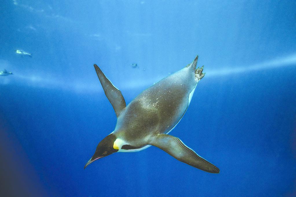 Hong Kong French Film Festival  - 2017