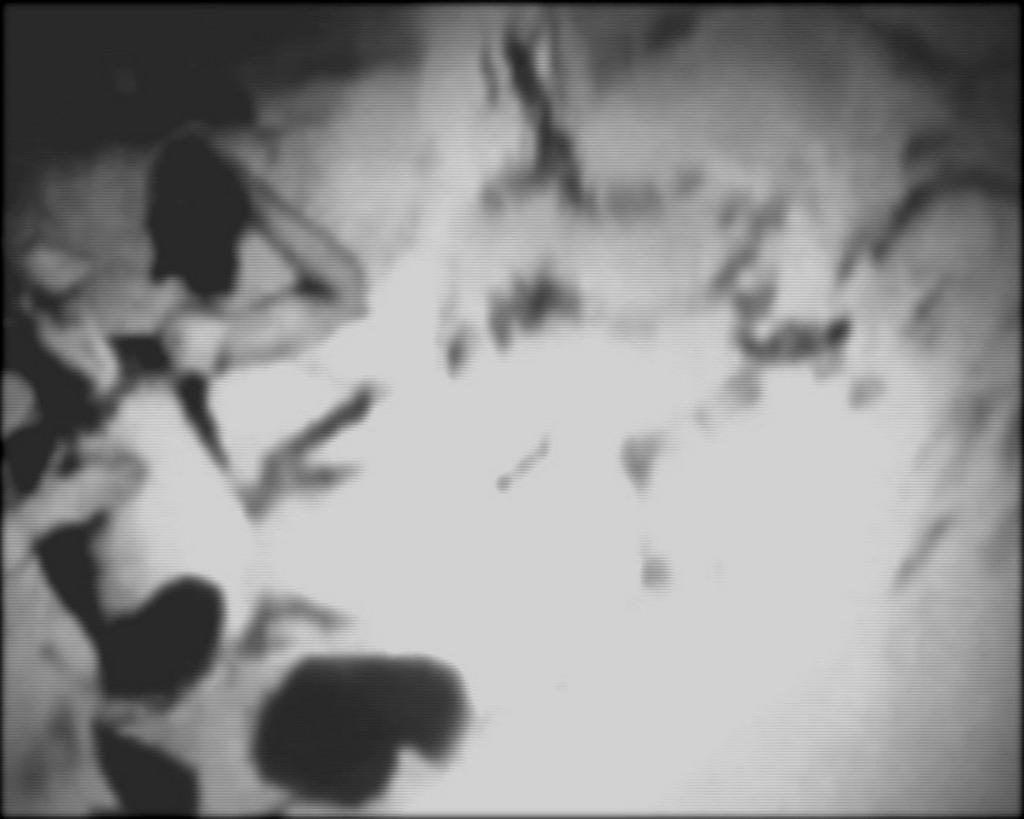 ニューヨーク　ランデブー・今日のフランス映画 - 2012