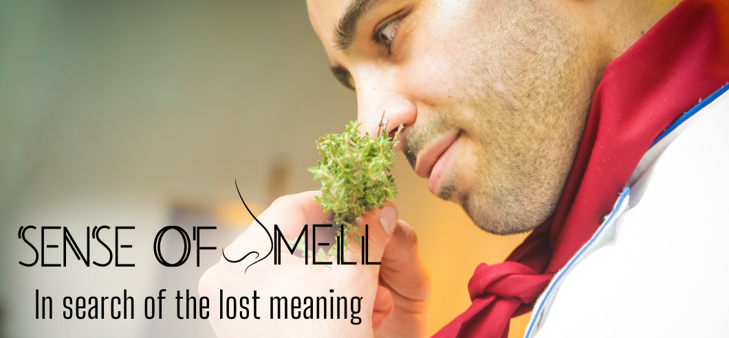 « Odorat : à la recherche du sens perdu », un documentaire pour mieux comprendre l’importance de ce sens méconnu « Odorat : à la recherche du sens perdu », un documentaire pour mieux comprendre l’importance de ce sens méconnu