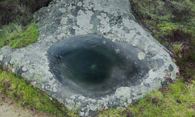 Agathe Plenier Latieule