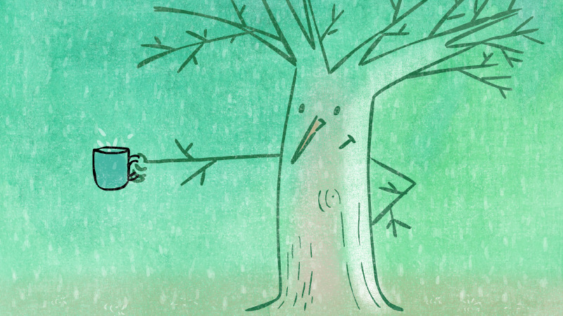  Tell Me About Winter