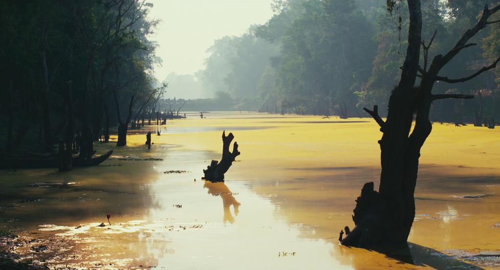 Festival de Cine Franc&eacute;s de Richmond - 2018