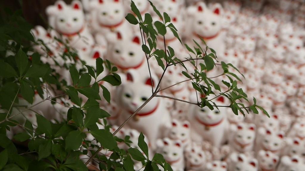 Dreaming of Gotokuji on a Moonless First of May Dreaming of Gotokuji on a Moonless First of May