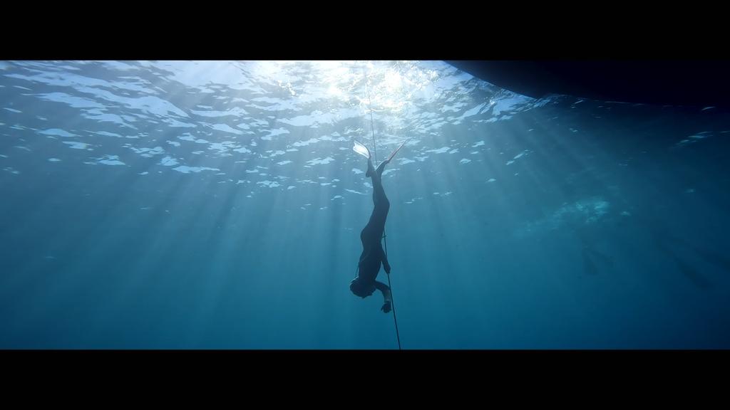 The Blue Forest The Blue Forest