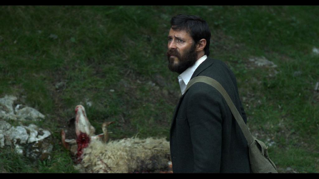 Festival Internacional de Cine Fant&aacute;stico y Terror de San Sebasti&aacute;n  - 2014