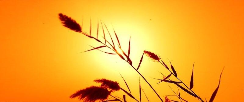 Memories of an Unborn Sun Memories of an Unborn Sun