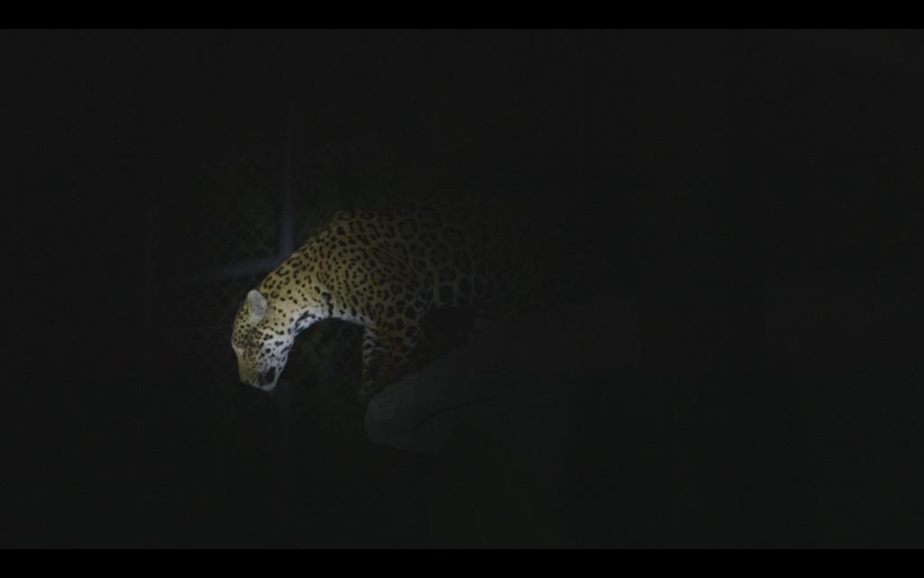 (Sin Asunto) (Sin Asunto)