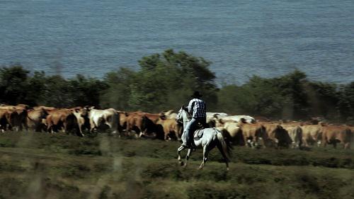 Creek Aymes Creek Aymes