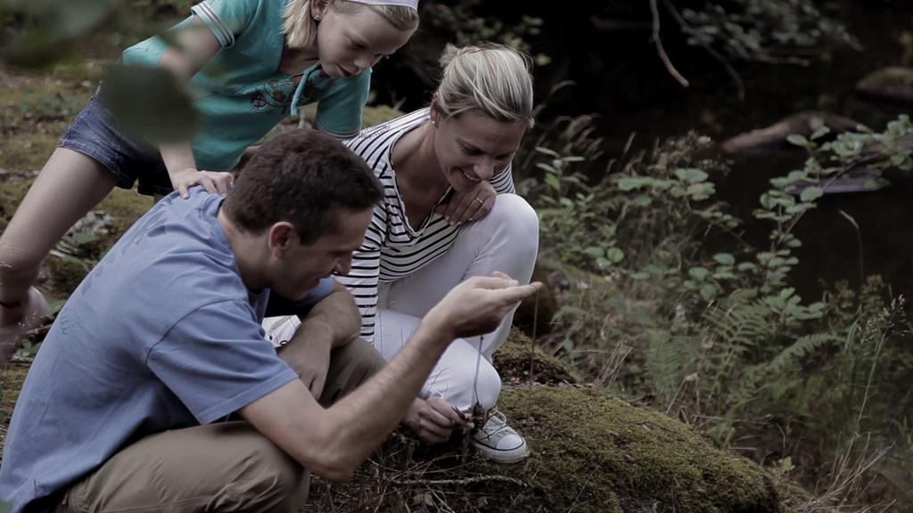 Seattle International Film Festival (SIFF) - 2012