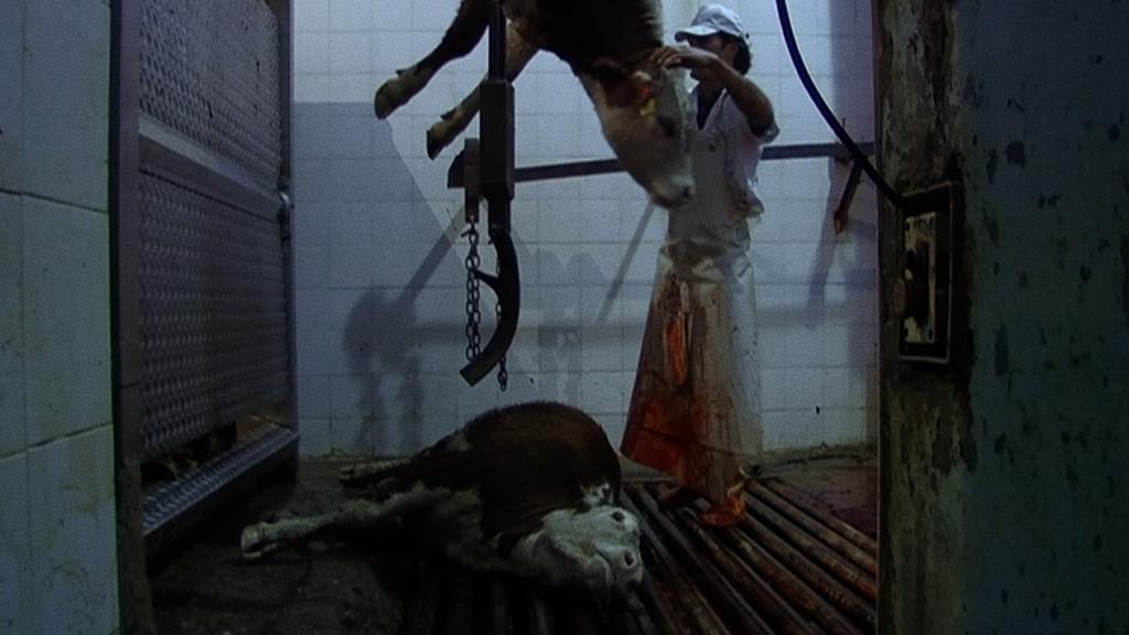 Istanbul Film Festival - 2016 Istanbul Film Festival - 2016