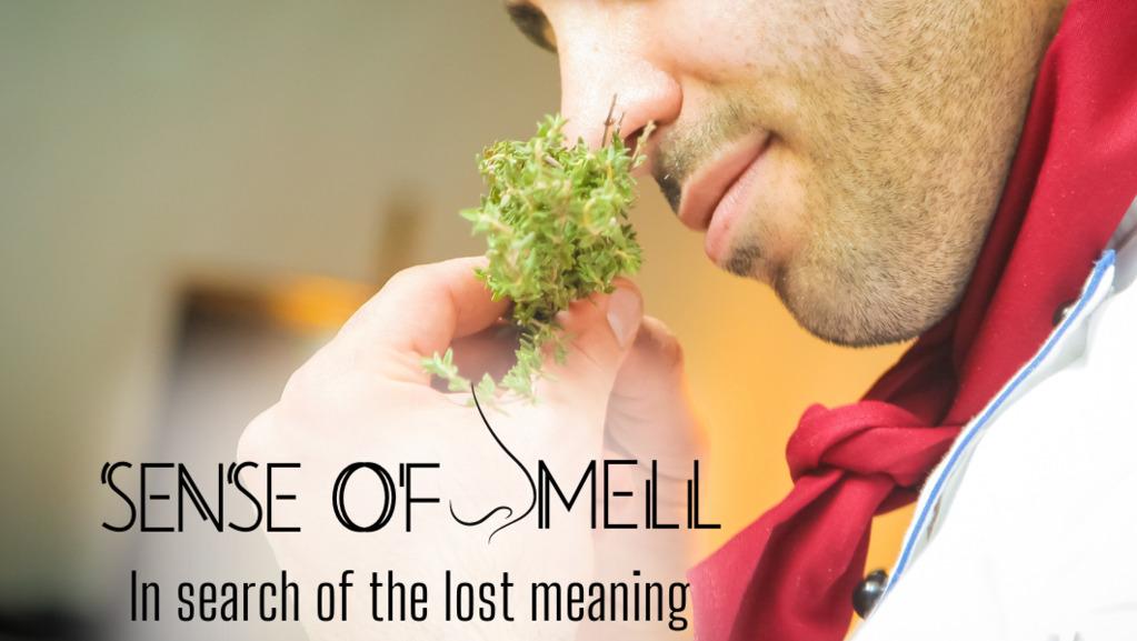 "Sense of Smell: In Search of the Lost Meaning," a documentary to better understand the importance of this little-known sense "Sense of Smell: In Search of the Lost Meaning," a documentary to better understand the importance of this little-known sense