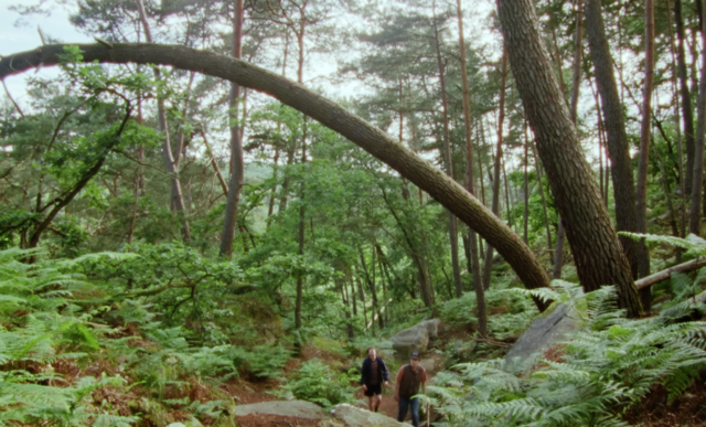 Le Cyclope Le Cyclope