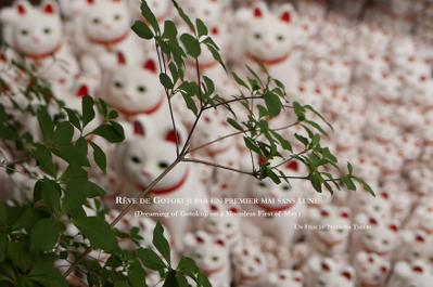 Dreaming of Gotokuji on a Moonless First of May Dreaming of Gotokuji on a Moonless First of May