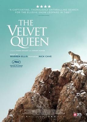 El leopardo de las nieves - New Zealand El leopardo de las nieves - New Zealand