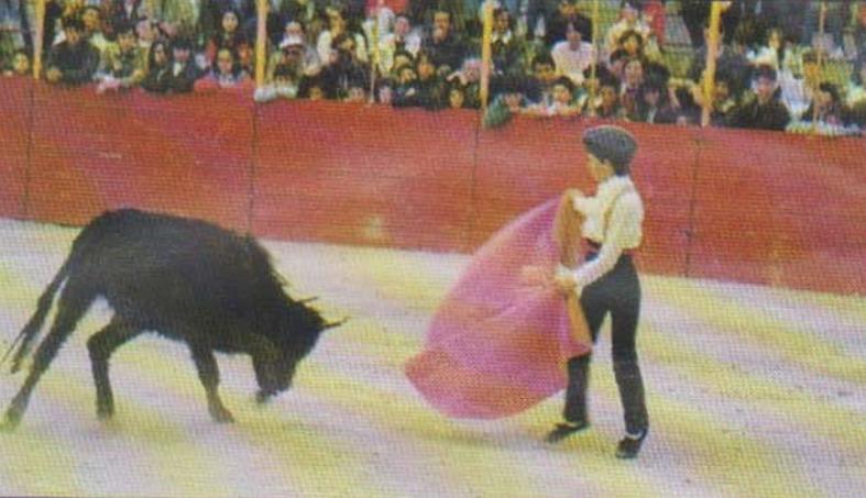 Simon Casas, la passion de l'arène Simon Casas, la passion de l'arène