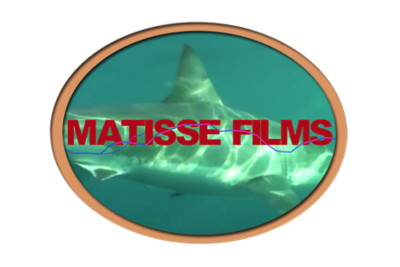 MatisseFilms MatisseFilms