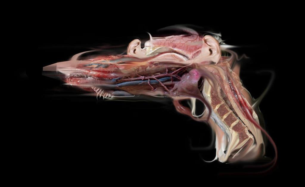 Guadalajara International Film Festival (FICG) - 2019