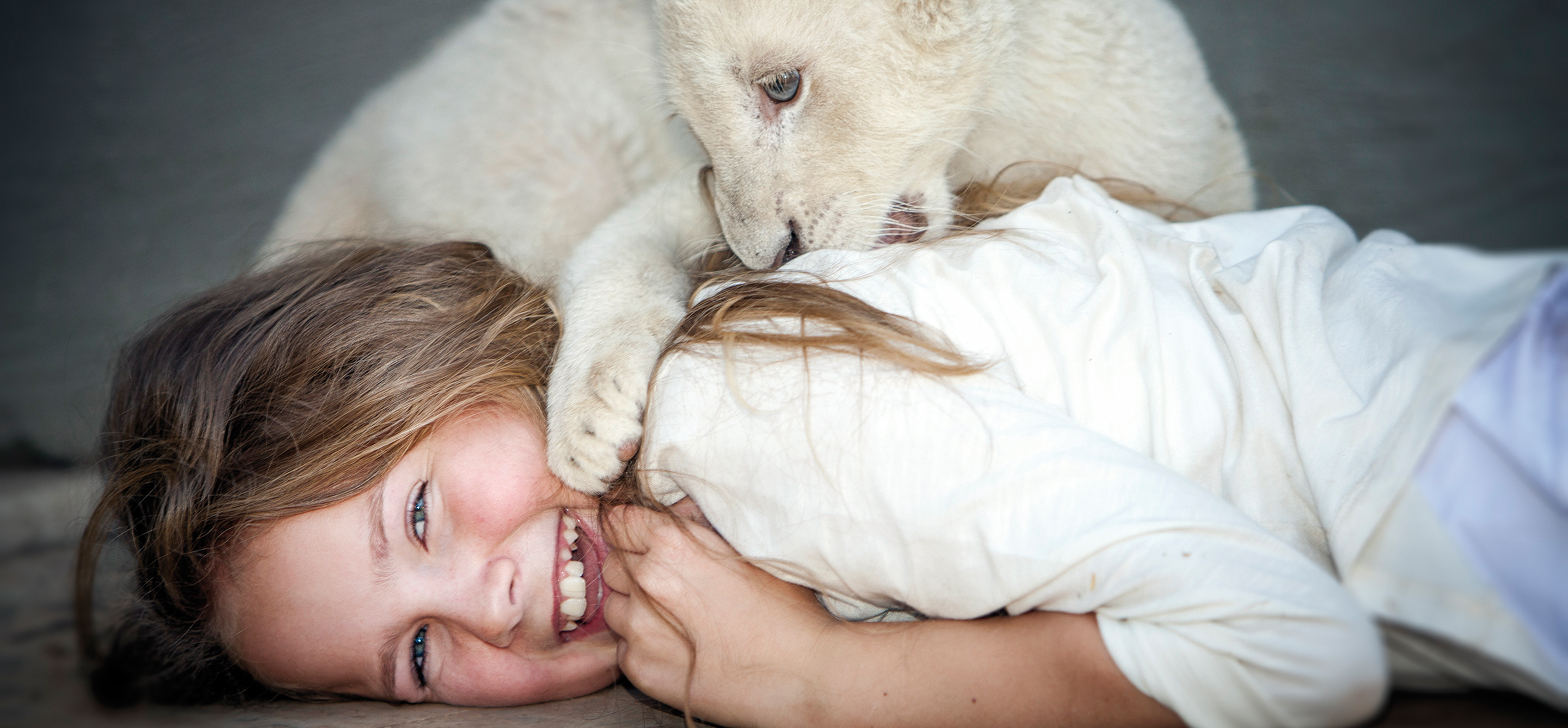 Resultados de taquilla del cine francés en el extranjero – Febrero del 2019 Resultados de taquilla del cine francés en el extranjero – Febrero del 2019