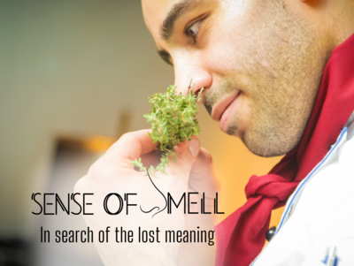 Sense of Smell: In Search of the Lost Meaning Sense of Smell: In Search of the Lost Meaning
