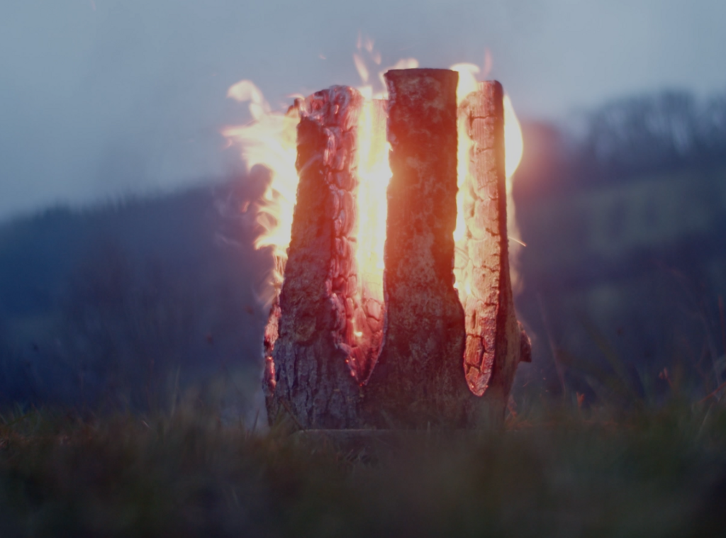 Pink Floyd mon amour