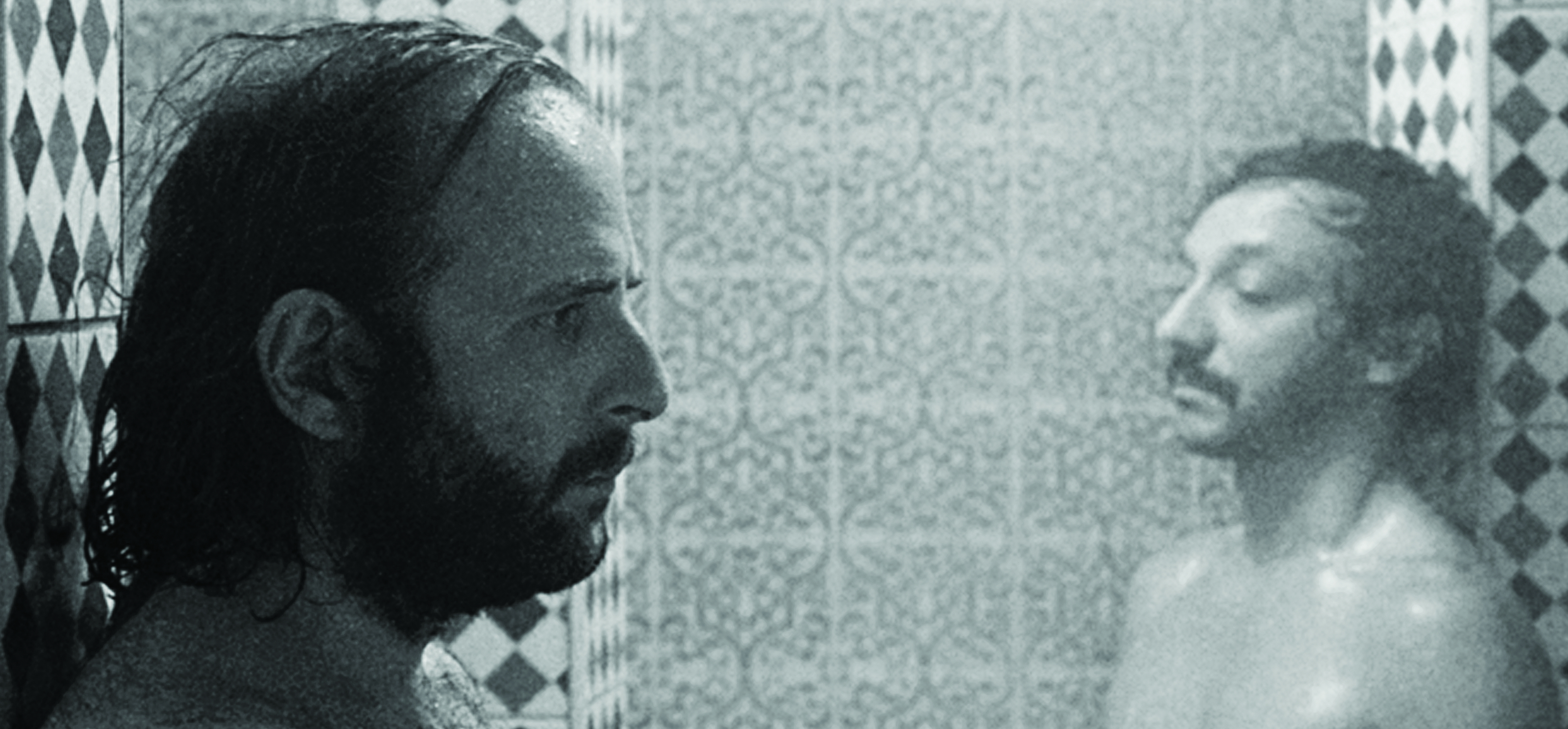 Les Lézards Les Lézards