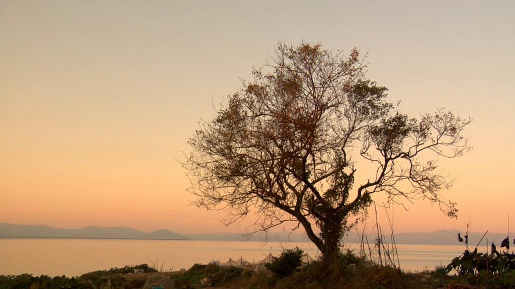 グラン・マザー グラン・マザー