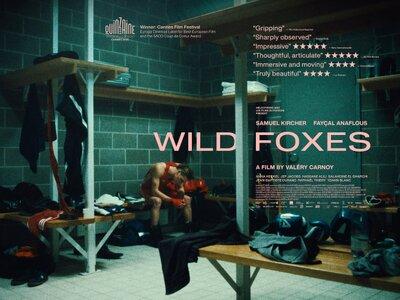 Wild Foxes - United Kingdom