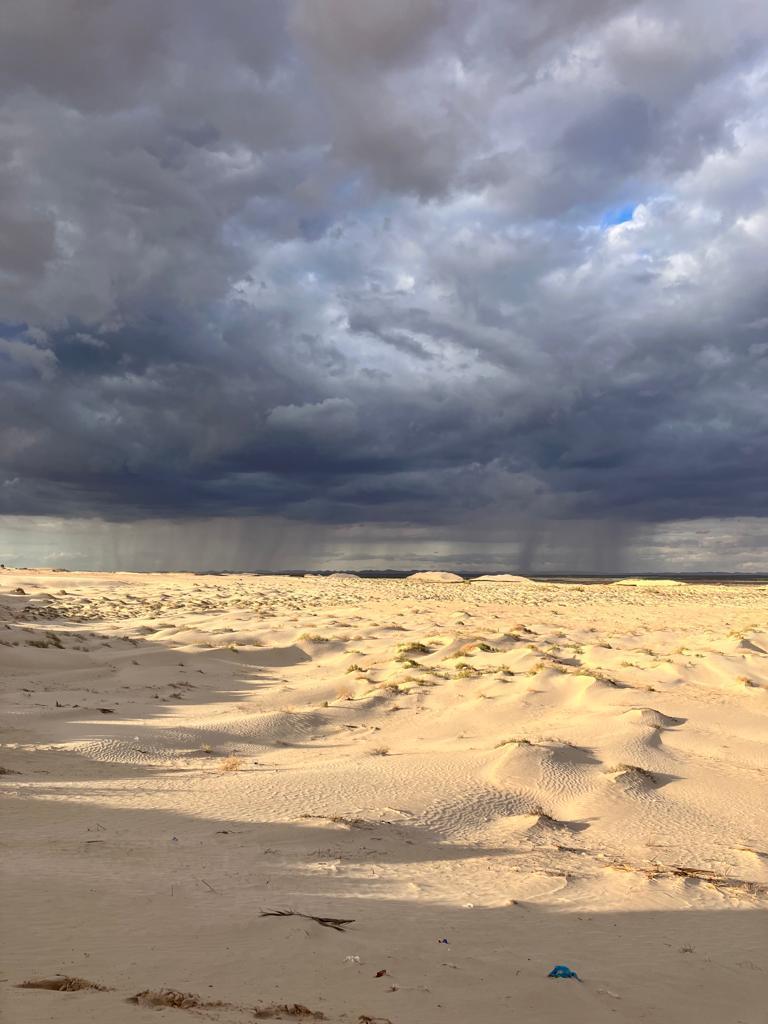 Winds : an Invisible Strength Winds : an Invisible Strength