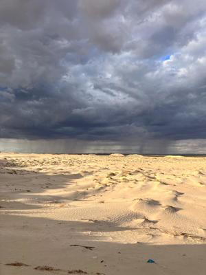 Winds : an Invisible Strength Winds : an Invisible Strength