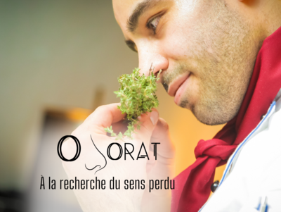 Odorat : À la recherche du sens perdu Odorat : À la recherche du sens perdu
