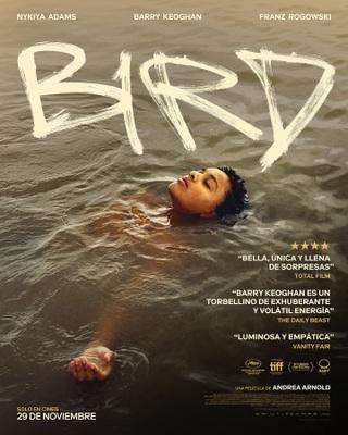 Bird - Spain Bird - Spain