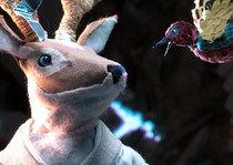 Les Oiseaux du souci Les Oiseaux du souci