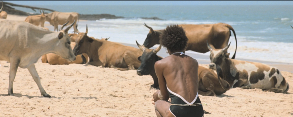 Le Rire et le Couteau Le Rire et le Couteau