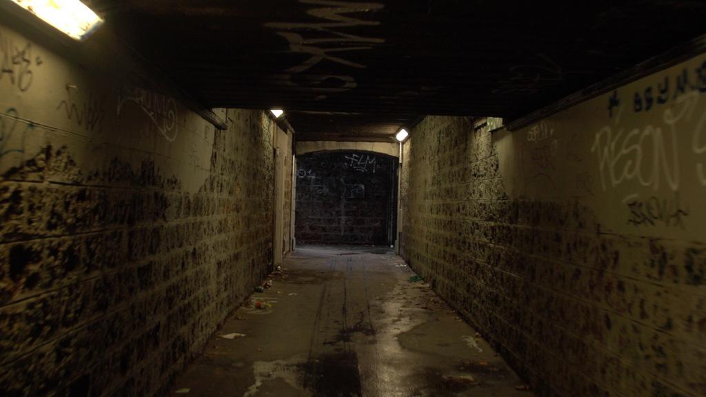 A Living Being A Living Being