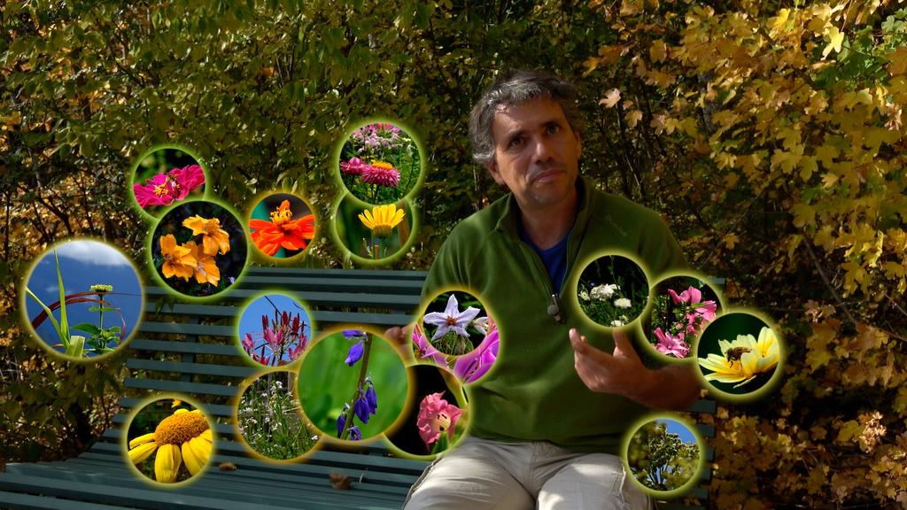 Garden Of The Heights Garden Of The Heights