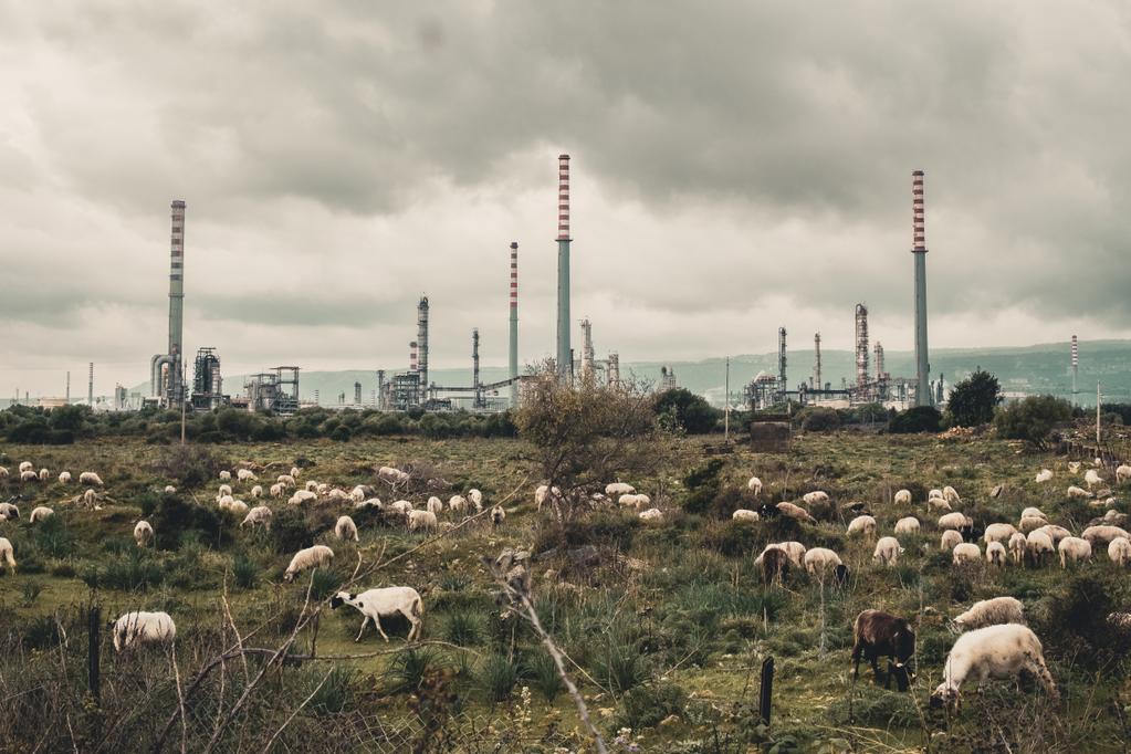 Toxicily - © François-Xavier Destors Toxicily - © François-Xavier Destors