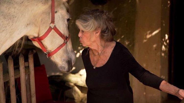 Fran&ccedil;ois Chaumont