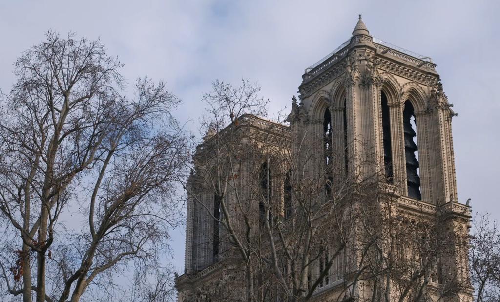 We Stare at Our Hands We Stare at Our Hands