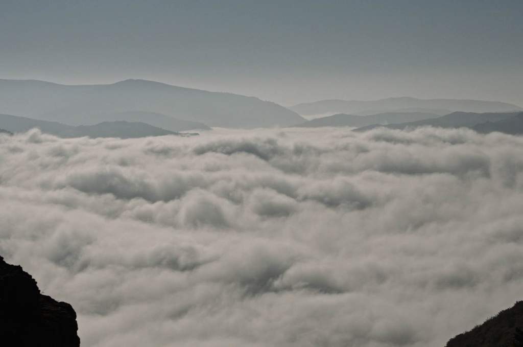 The Endless Days of Youth The Endless Days of Youth