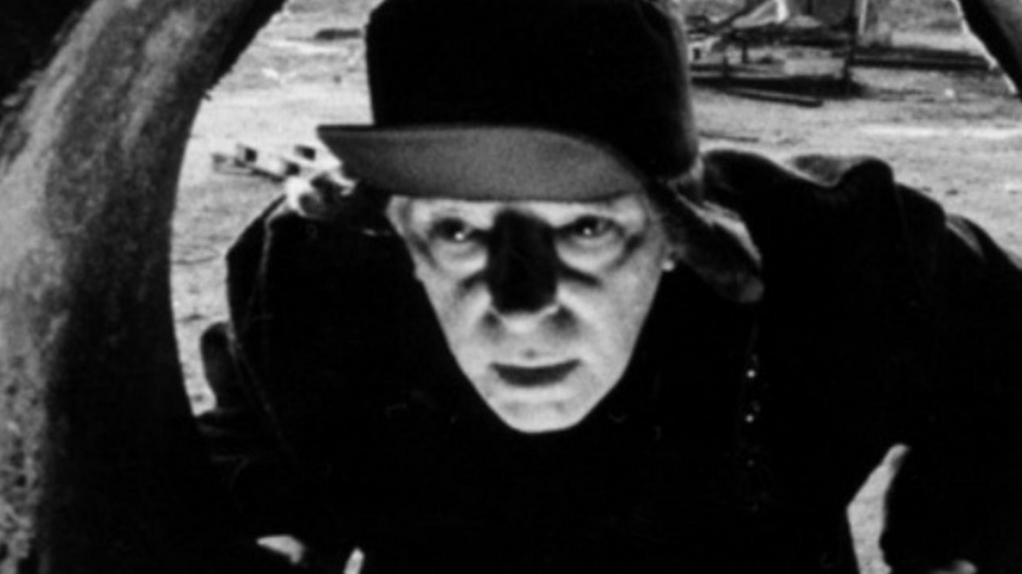 Dancing Fleas Production