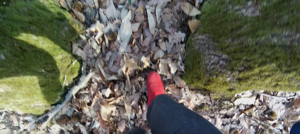 Elisa and Middle-earth Elisa and Middle-earth