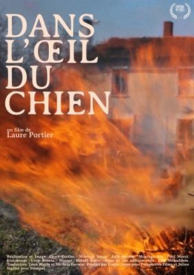 Dans l'œil du chien Dans l'œil du chien