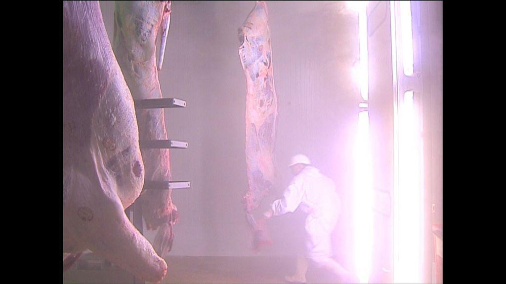 Crossing Europe - Linz - 2012