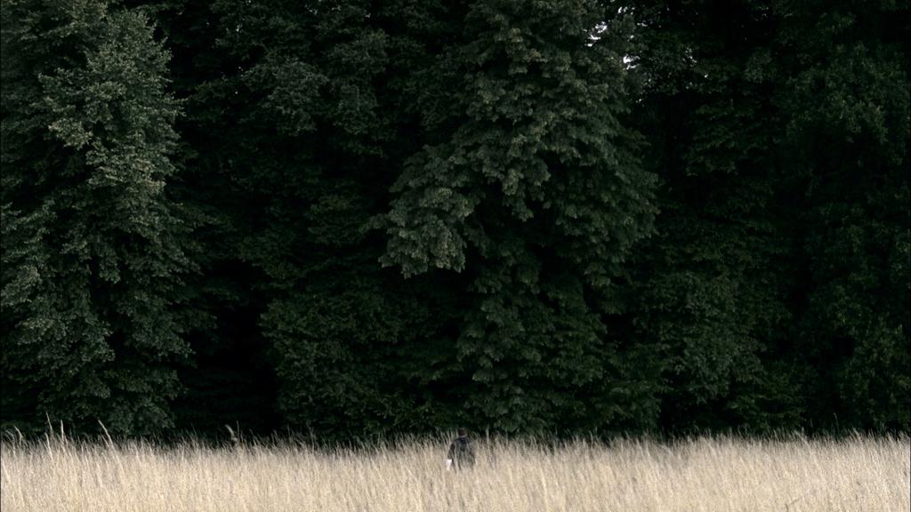 ニューヨーク　ランデブー・今日のフランス映画 - 2010