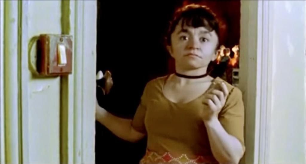 Histoires de bonsaï Histoires de bonsaï