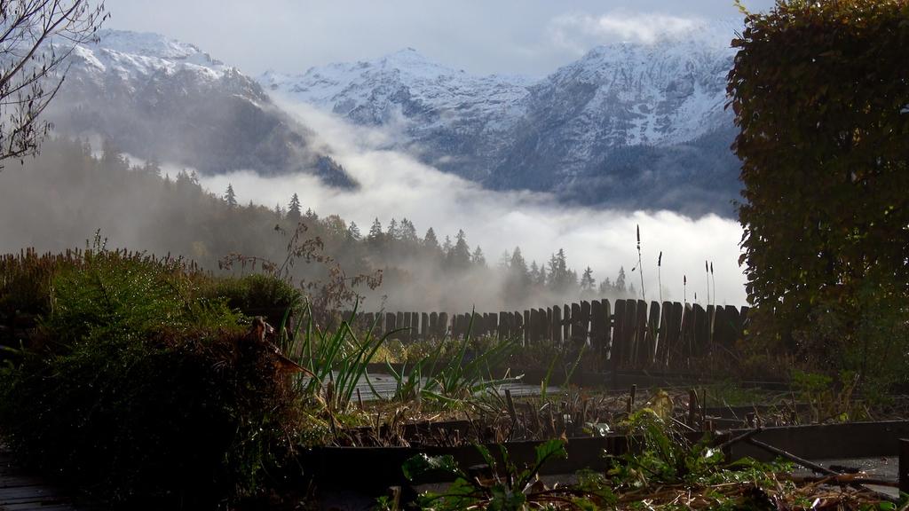 Garden Of The Heights Garden Of The Heights