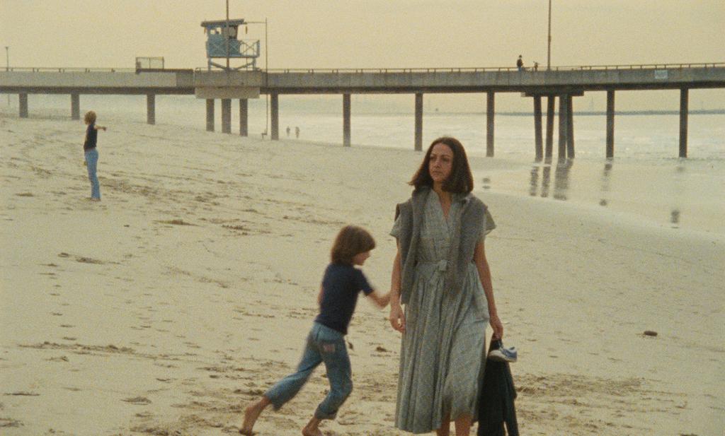 IFI French Film Festival (Dublin) - 2013