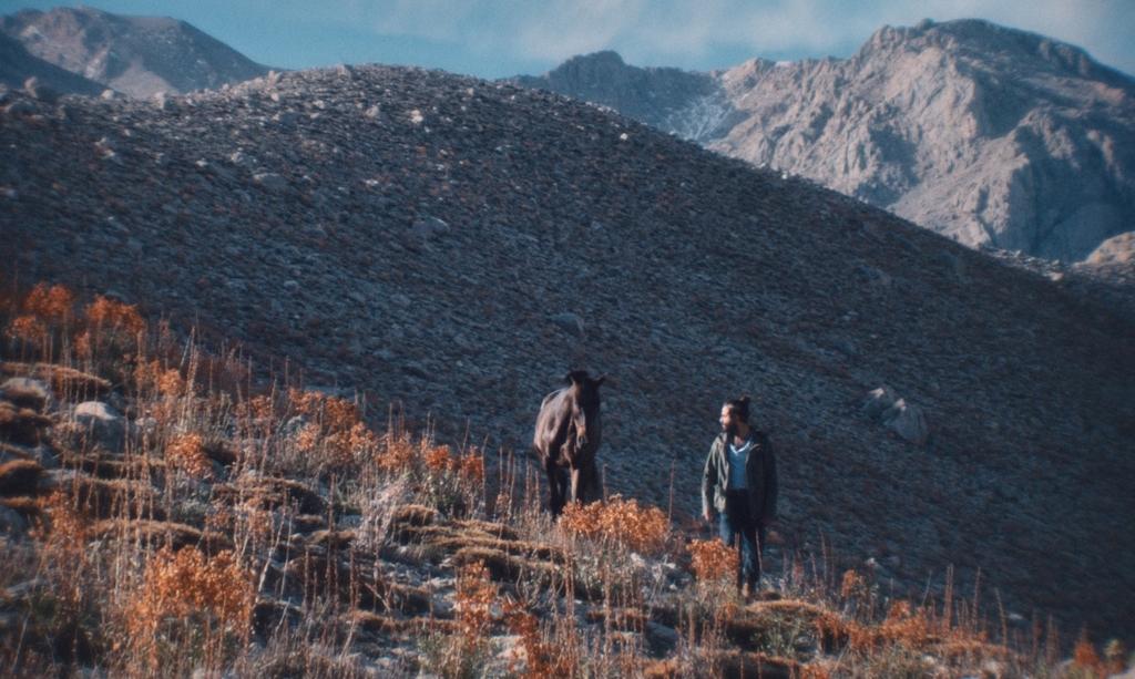 Zeynep &Ouml;zbayrak