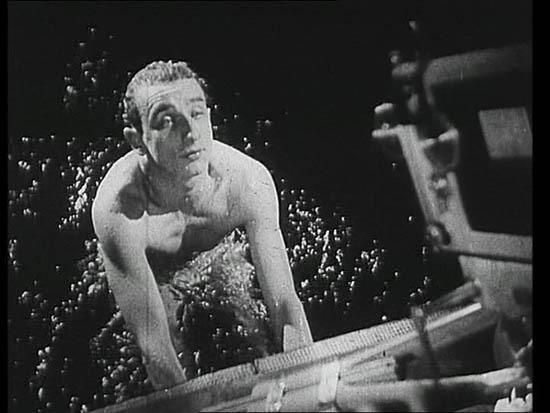 Festival Internacional de Curtas de São Paulo - 2004 Festival Internacional de Curtas de São Paulo - 2004